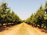 Oeste, destination touristique