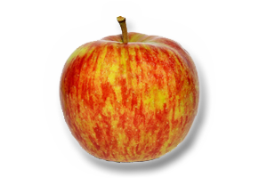 Jonagored-Apple