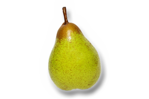Rocha-Pear