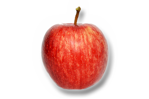 Royal-Gala-Apple